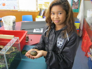 One day Bob the Kauri Snail came to school.