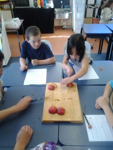 Alexis is trying hard to cut her apple into even quarters